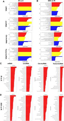 Effect of dexmedetomidine on ncRNA and mRNA profiles of cerebral ischemia-reperfusion injury in transient middle cerebral artery occlusion rats model